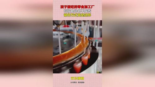 零食加工厂的秘密 孩子最爱吃的“垃圾食品”是如何制作的？